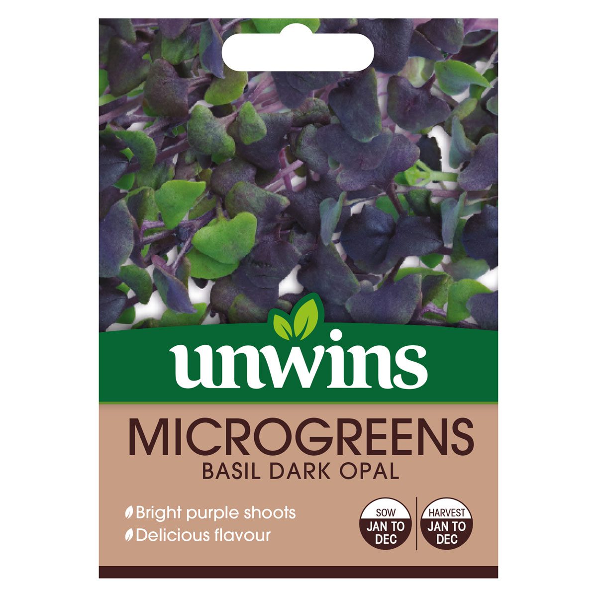 5051618030540 1 Microgreens Basil Dark Opal Seeds.jpg